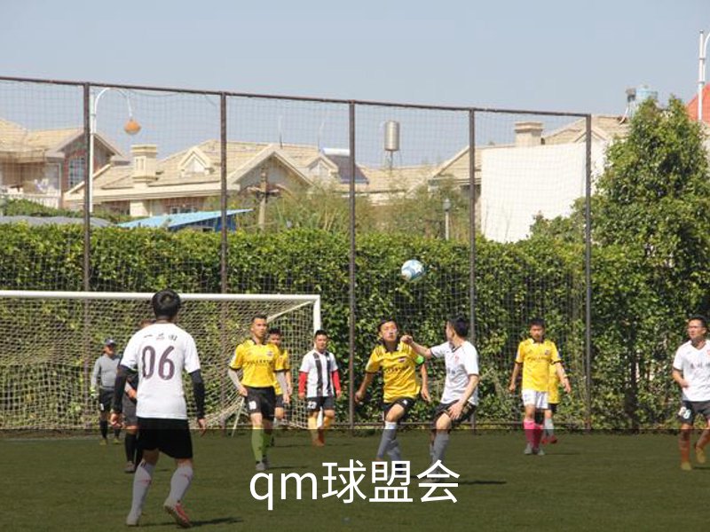 走进qm球盟会